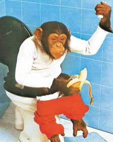 chimp-toilet-poster1.jpg