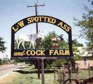 cock-farm.jpg
