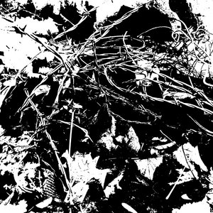 blackcloudsummoner.bandcamp.com