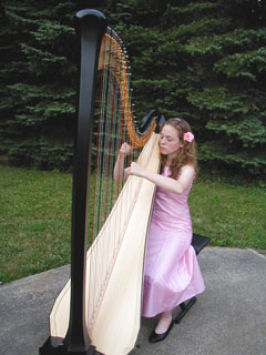 new-harp.jpg