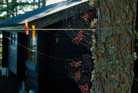 Mended-Spiderweb-19-Laundry.jpg