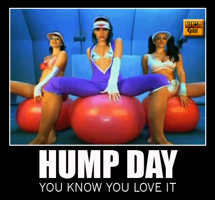 HUMP-DAY.gif