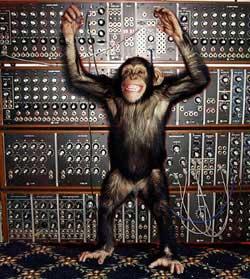 chimp_modular.jpg