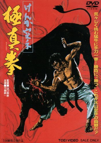 Karate+Bullfighter.jpg