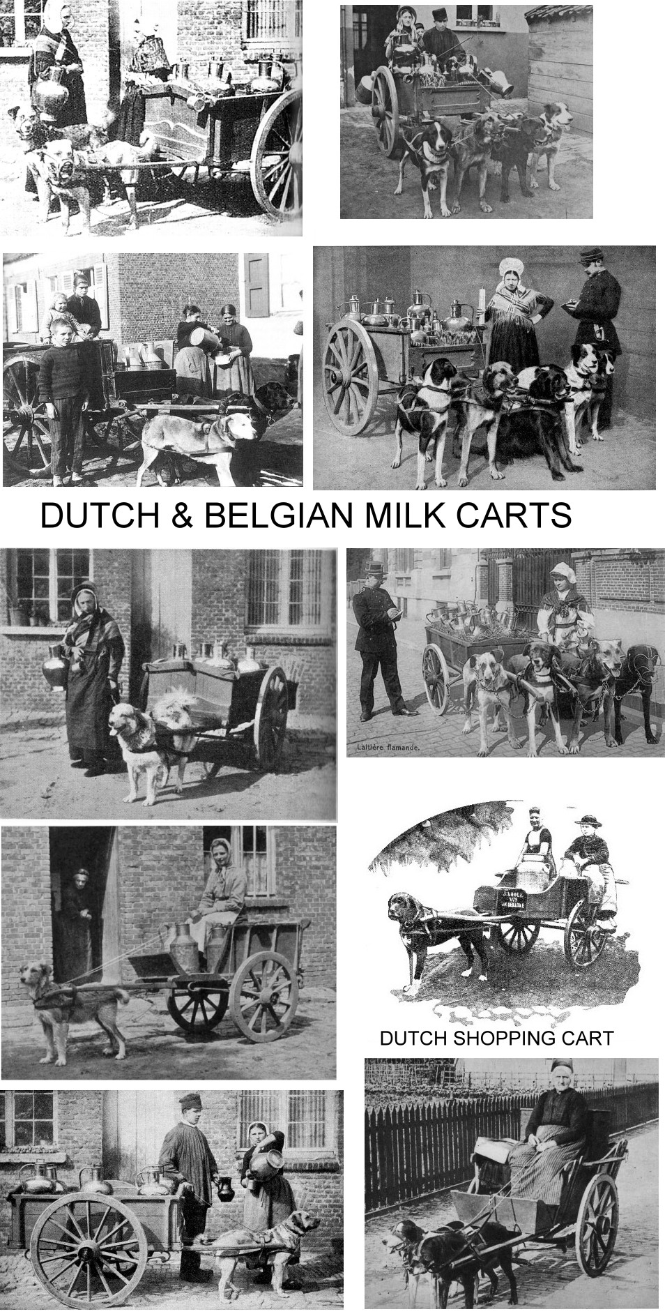 dutch-belgian-dogcarts.jpg
