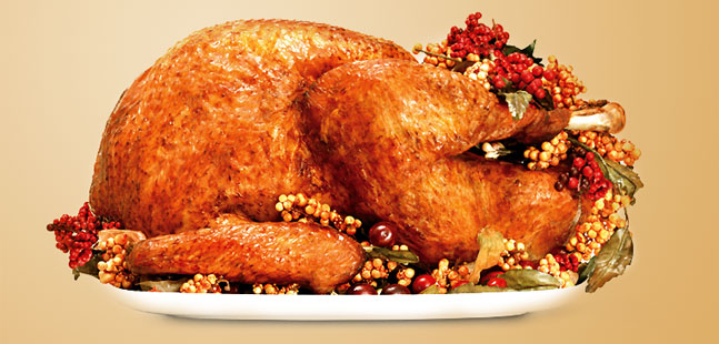 perfect-christmas-roast-turkey.jpg