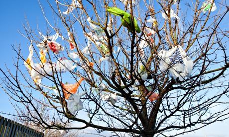 Plastic-Bags-in-Trees.jpg