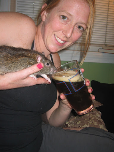 Rat+Drinking+Beer.JPG