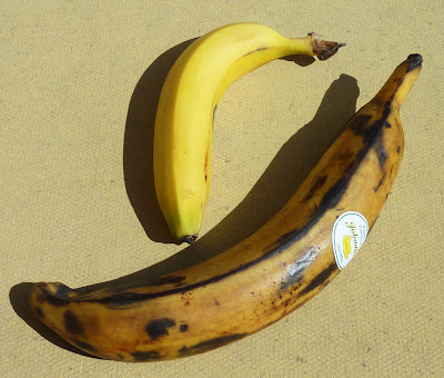 banana+plantain+for+blog.jpg