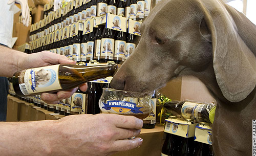 07.dog.beer.gi.jpg