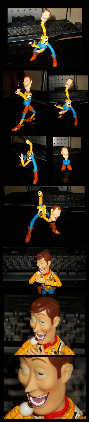 the_many_forms_of_woody_by_zeurel-d36dggq.jpg