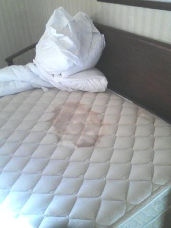 urine-stained-mattress.jpg