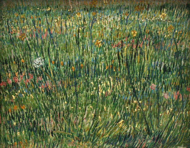 769px-Van_Gogh_-_Patch_of_grass.jpg