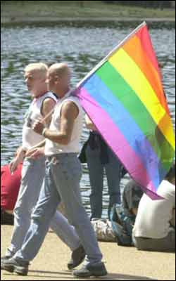 gay_flag_250x400.jpg