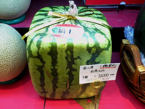 watermelon_square.jpg