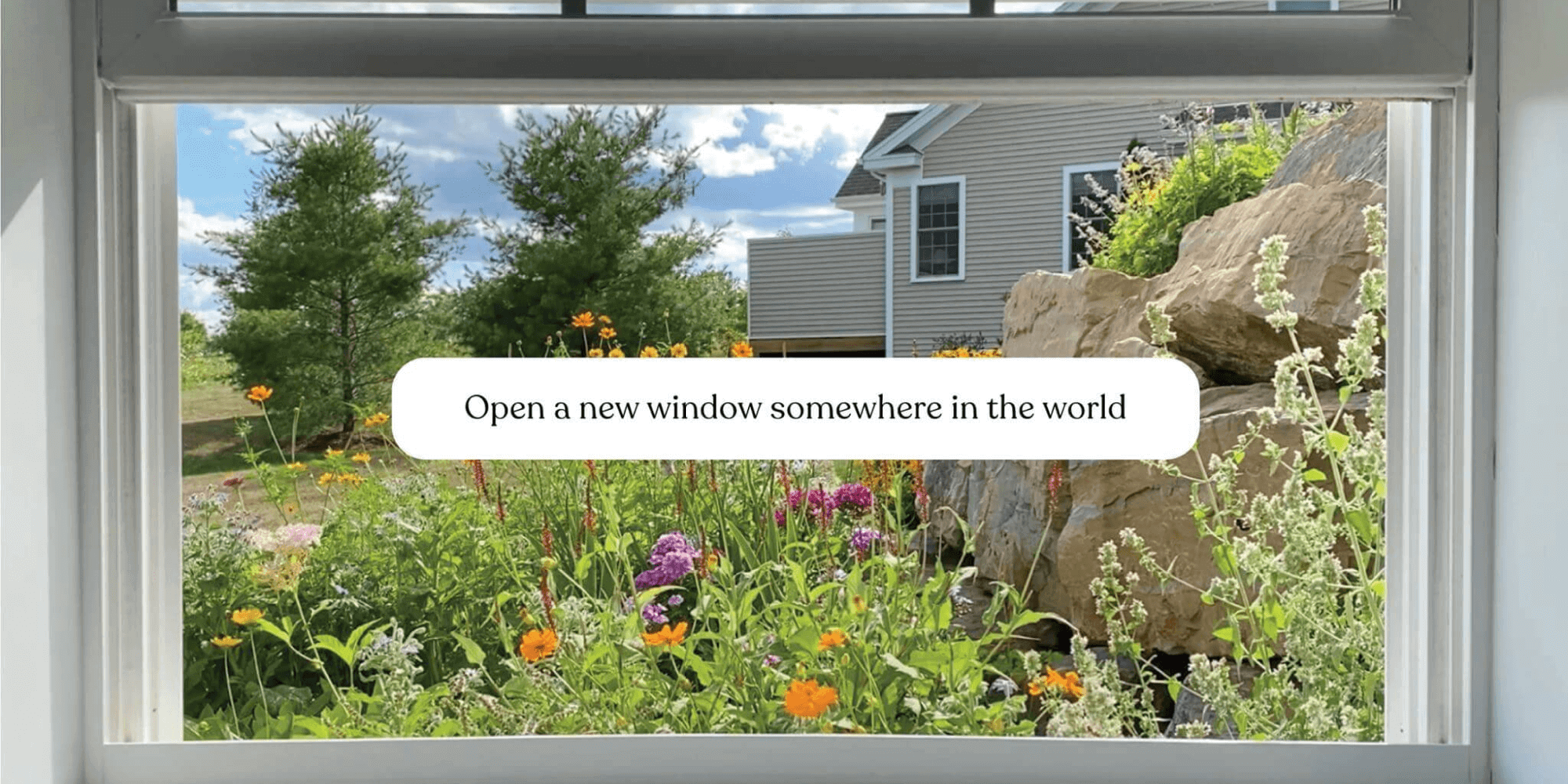 window-swap.com